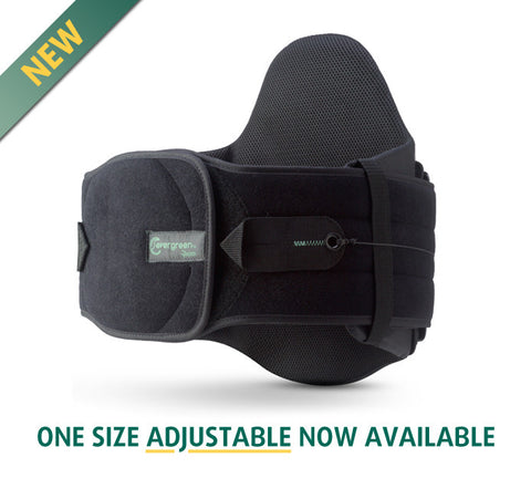 Aspen Evergreen 637 LSO Back Support - Purecartstore